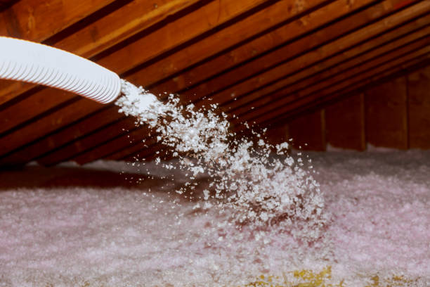 Best Spray Foam Insulation  in East Renton Highlands, WA