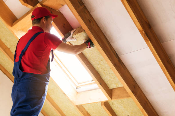 Best Basement Insulation  in East Renton Highlands, WA